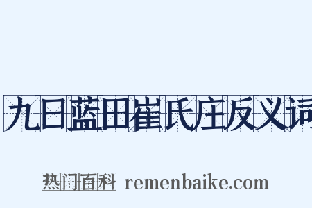 九日蓝田崔氏庄反义词是什么意思的图片